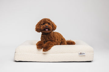 Boucle Hondenmand Beige - Small