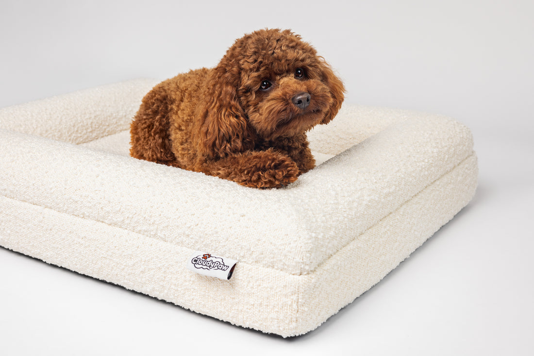 Boucle Hondenmand Beige - Small